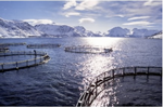 Une ferme marine en Norvège