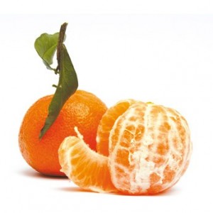clementine_346_346_filled